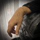Pulseira "Febe"