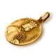 Medalha aurum "São Luíz"