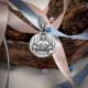 Medalha argenti "Comunhão"