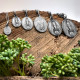 Medalha argenti "Nossa Senhora das Graças"