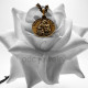 Medalha aureum "Santa Ana"
